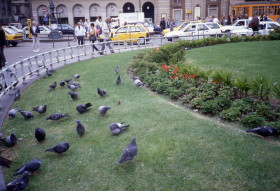 Milan – Piazza della Scala