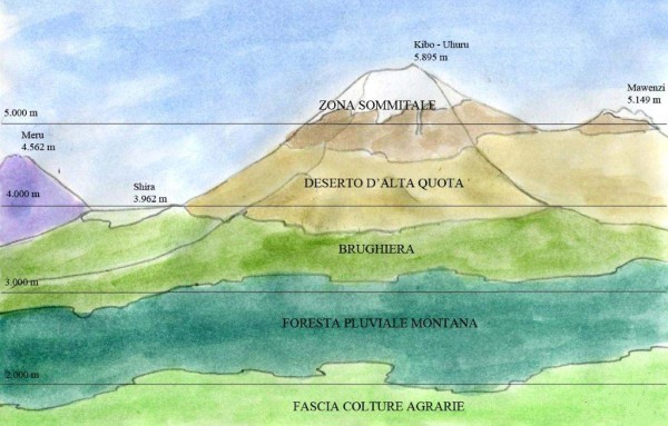 Gli ecosistemi del Kilimanjaro