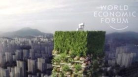 China’s vertical forest will fight pollution and produce 60kg of oxygen a day