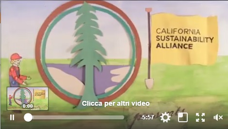 Il Valore degli alberi. Un video dell’amministrazione comunale di Santa Monica, in California.