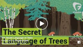 The Secret Language of Trees