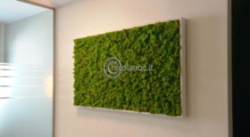 Stabilized plant green wall