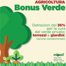 BONUS VERDE 2018