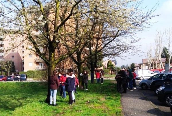 Catasto digitale del Verde e Scuola Media di Abbiategrasso