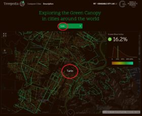 Copertura delle chiome degli alberi stradali nelle principali città del mondo.