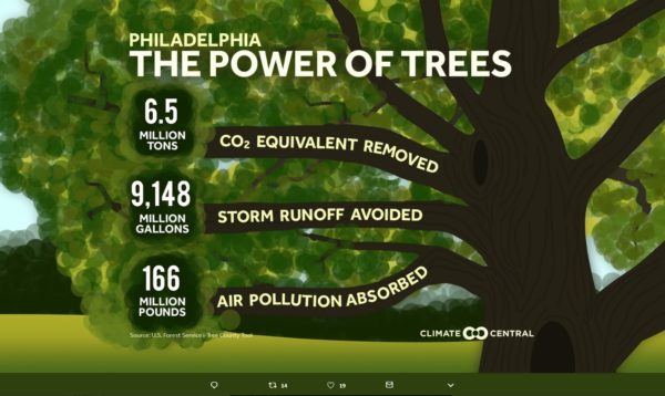 THE POWER OF TREES