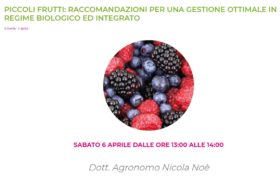 PICCOLI FRUTTI: RACCOMANDAZIONI PER UNA GESTIONE OTTIMALE IN REGIME BIOLOGICO ED INTEGRATO, di Nicola Noe