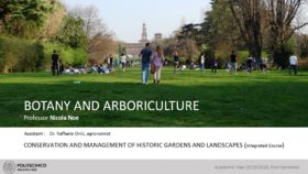 Nicola Noe, Professore a contratto di BOTANY AND ARBORICULTURE