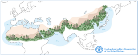 The Great Green Wall of Cities