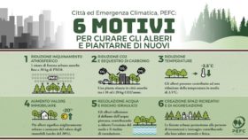 Alberi in città: 6 motivi per cui ne abbiamo sempre più bisogno