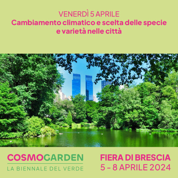 Nicola Noè “Effetti dei cambiamenti climatici sul patrimonio arboreo delle città”