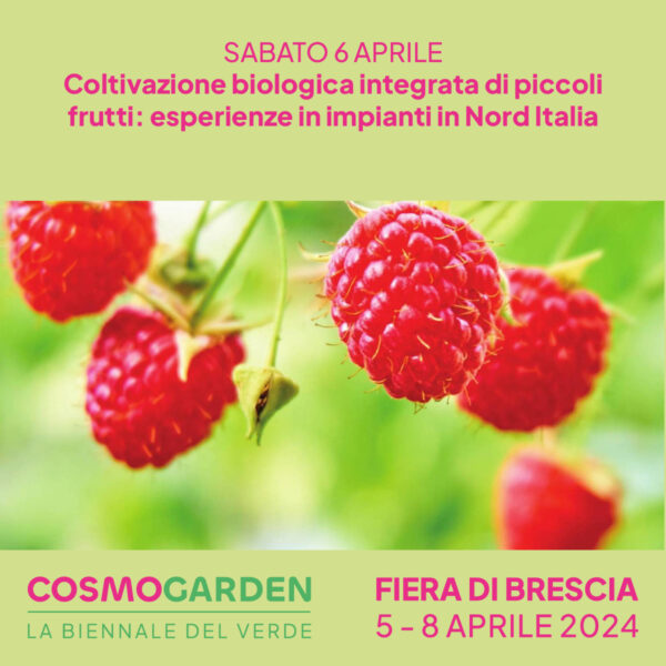 Michele Ghezzi e Nicola Noè “COLTIVAZIONE BIOLOGICA E INTEGRATA DI PICCOLI FRUTTI”