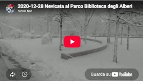 Big snow at Milan – Biblioteca degli Alberi Park