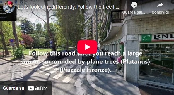 Let’s look at it differently. Follow the tree lines: an alternative way to get around the city!