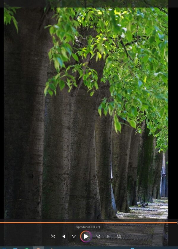 MILAN STREET TREES (MST) PROJECT