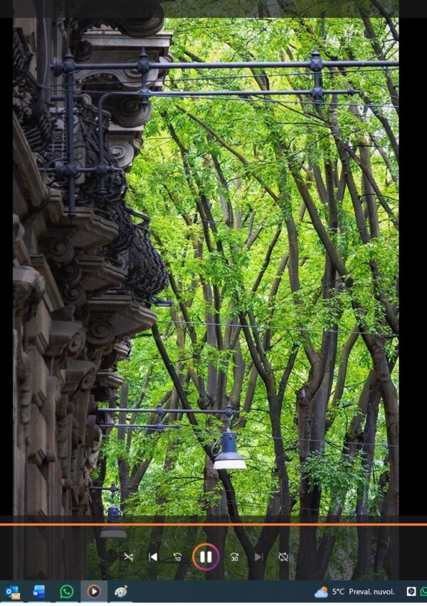 MILAN STREET TREES (MST) PROJECT