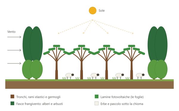 Gli Alberoidi: alberi che producono energia elettrica